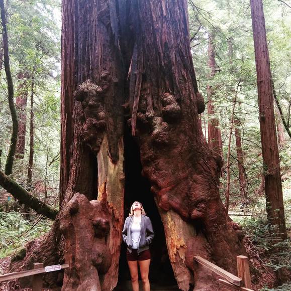 Meet your Posher, Lane - Picture 1 of 1